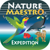 Nature Maestro - Expedition Logo